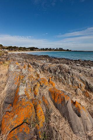 184 Kangaroo Island, penneshaw.jpg